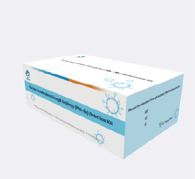 a612d50d93c91c0f966fccd180de1c3